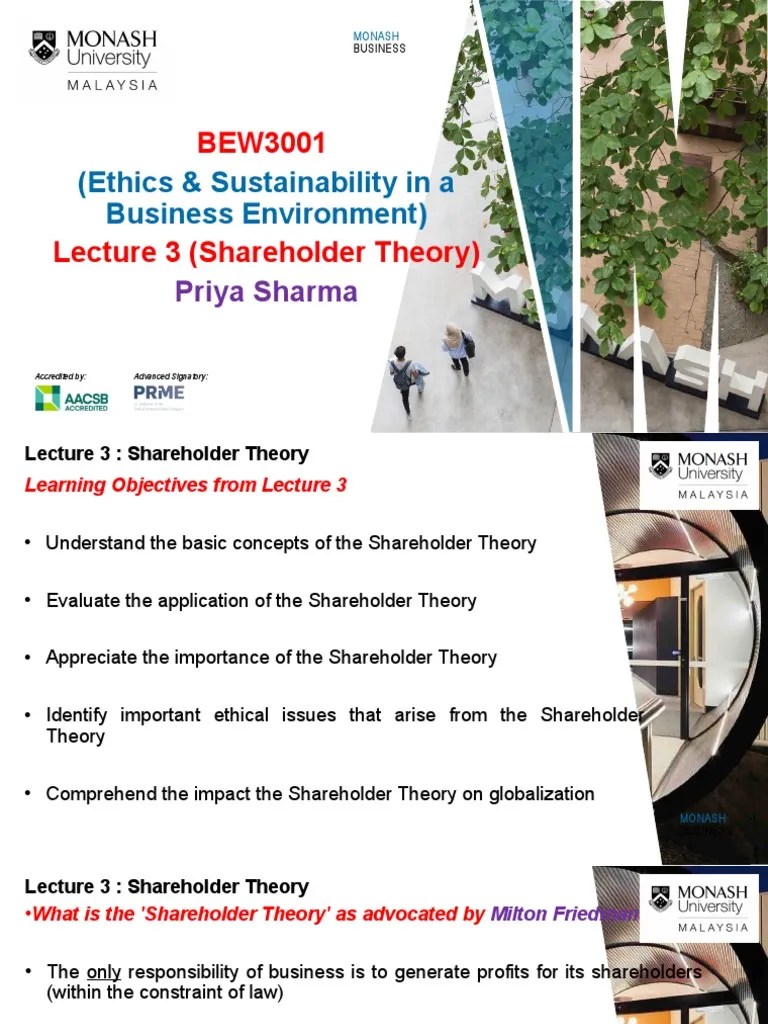 Shareholder Theory PDF