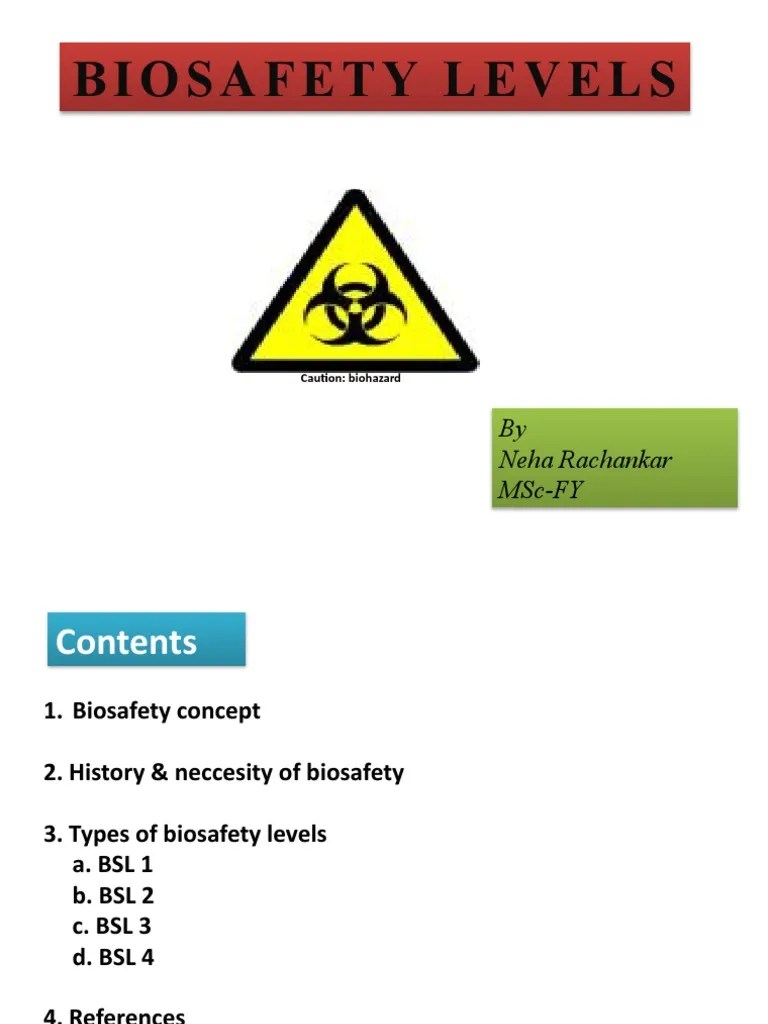 Biosafety Levels Ppt130831011508Phpapp01160517175355 PDF