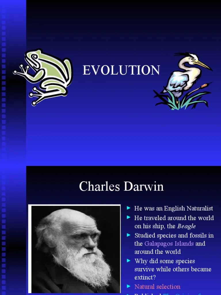 Darwin Evolution PDF Charles Darwin Natural Selection