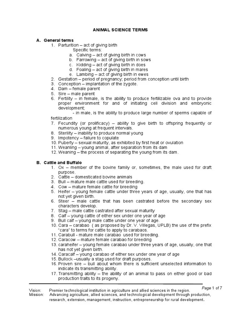 Animal Science Terminologies PDF Sheep Horse Breeding