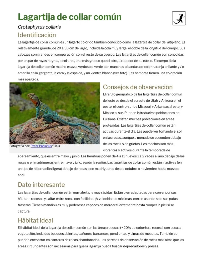 Spanish Eastern Collared Lizard PDF Destrucción del habitát