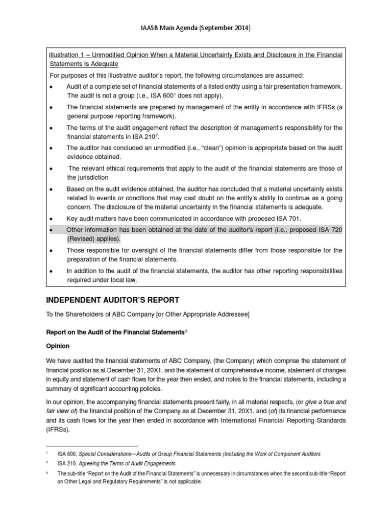 Going Concern Uncertainty Disclosure PDF Financial Audit Going