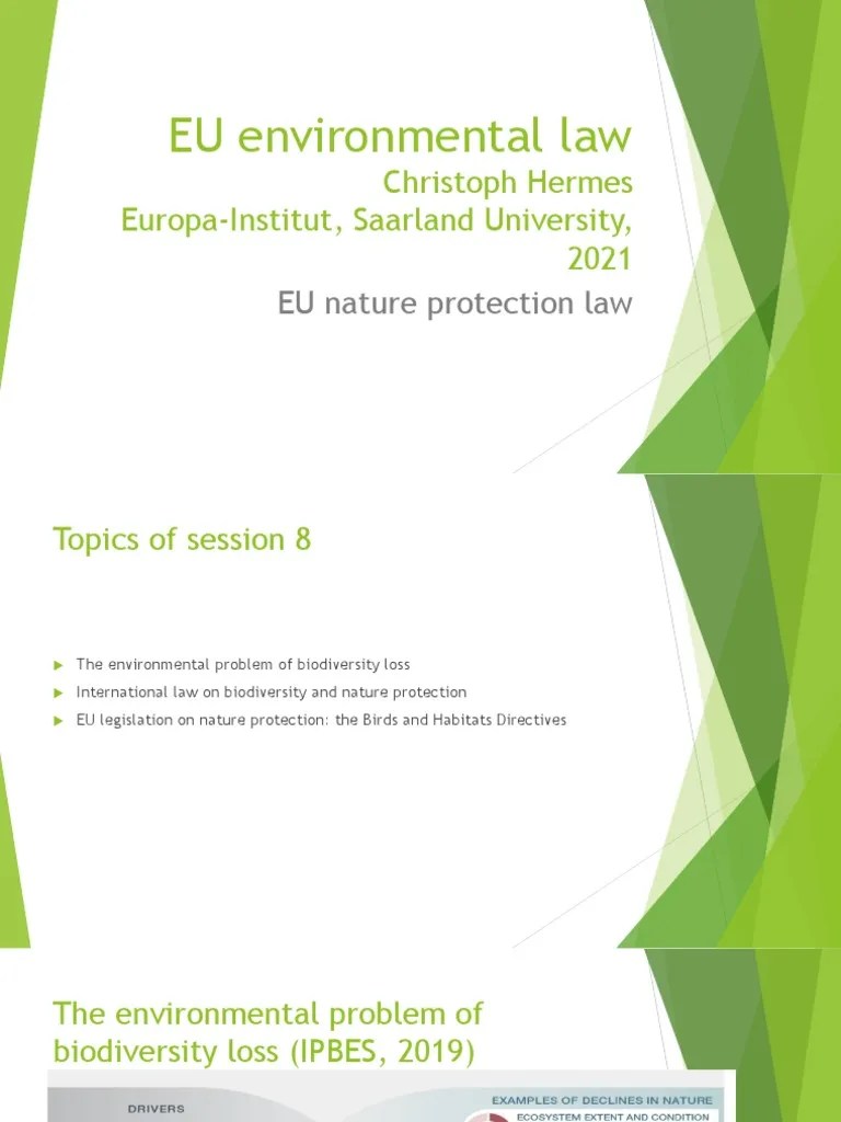 Understanding the Key Provisions and Court Interpretations of the EU