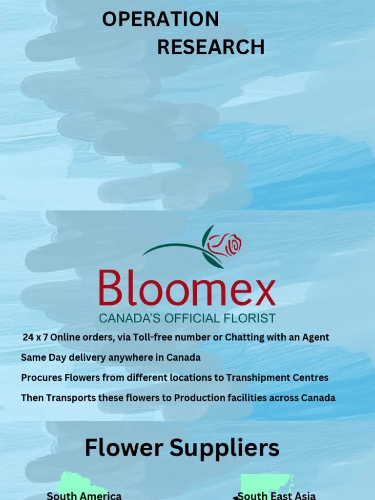 Bloomex Case Study Presentation PDF Ontario Toronto