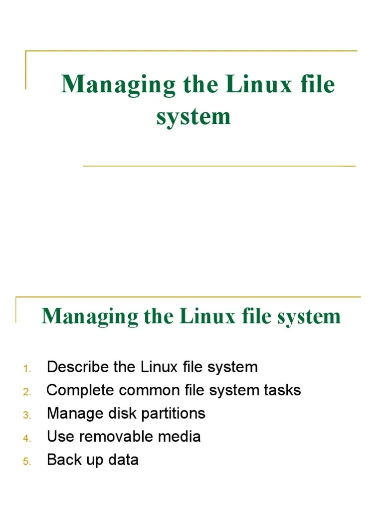 Managing The Linux File System PDF Computer File File System