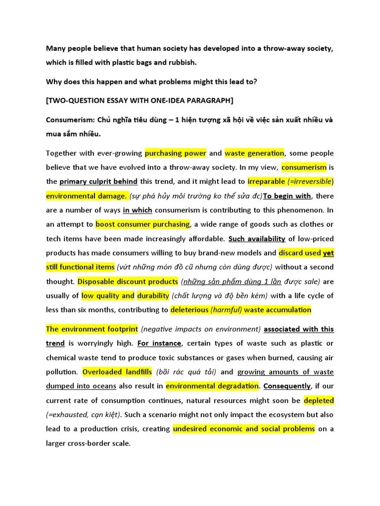 (SAMPLE 2) A ThrowAway Society PDF