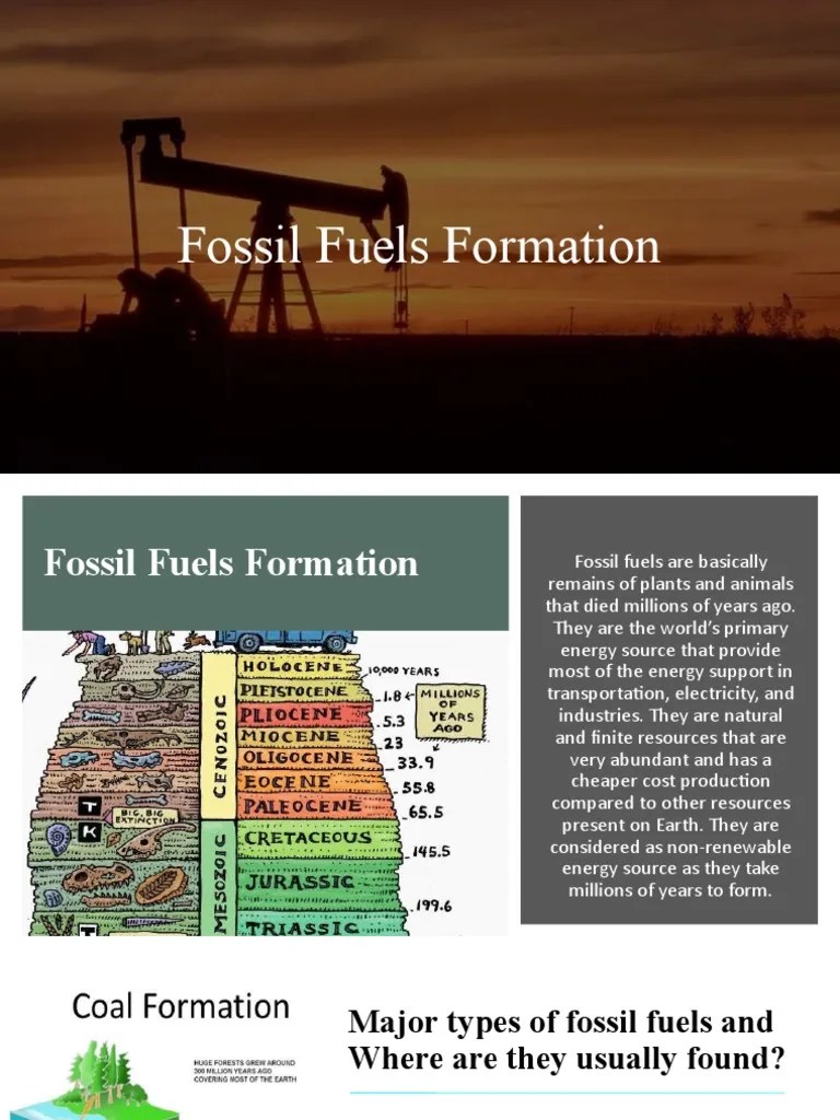 Fossil Fuels Formation PDF Petroleum Coal