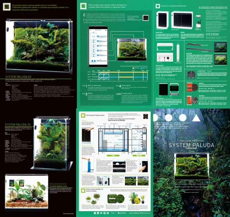 Recreating a Tropical Rainforest Ecosystem Using ADA's Smart Power