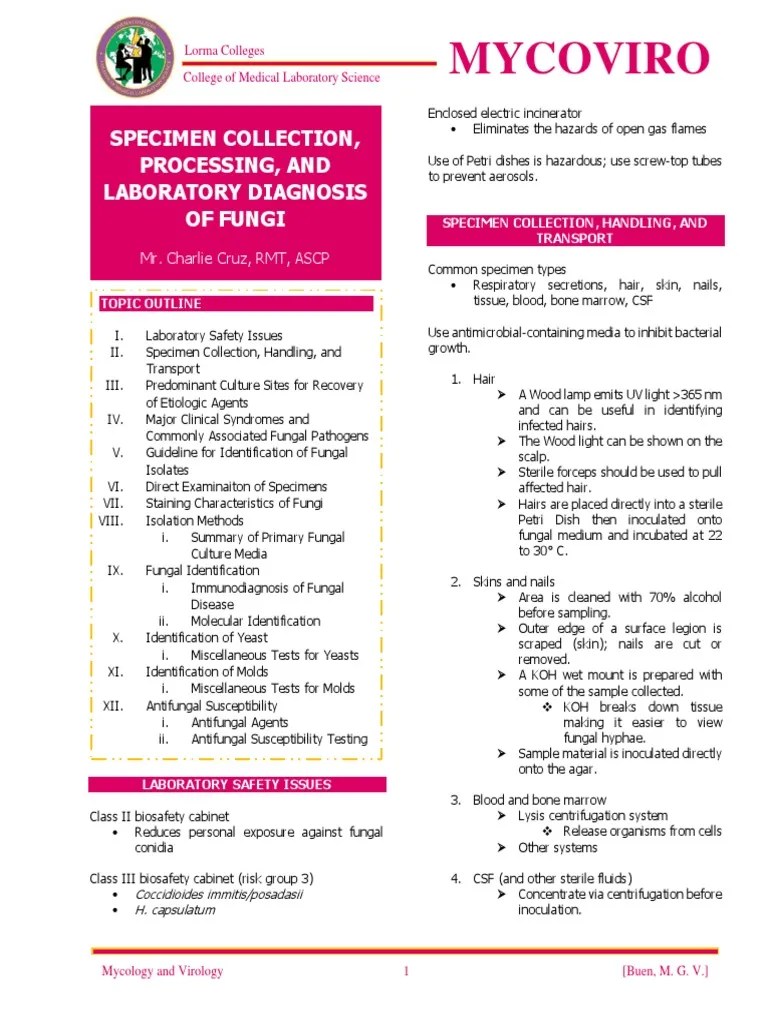 Specimen Collection Processing Modified Version PDF Fungus Staining