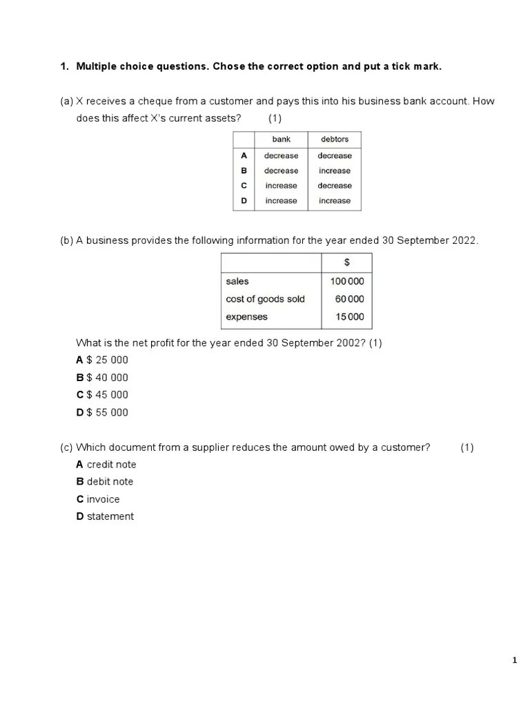 Accounting IGCSE Past Paper PDF Debits And Credits Money