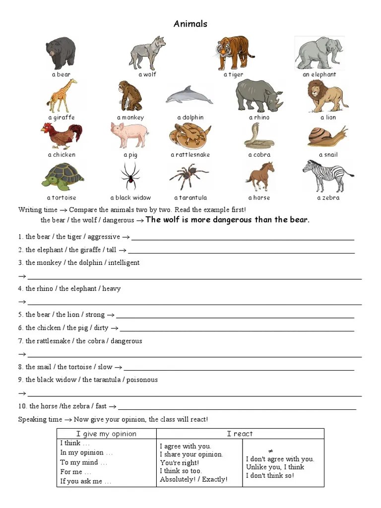 Comparing Animals Worksheet Templates Layouts 121552 PDF Organisms Mammals
