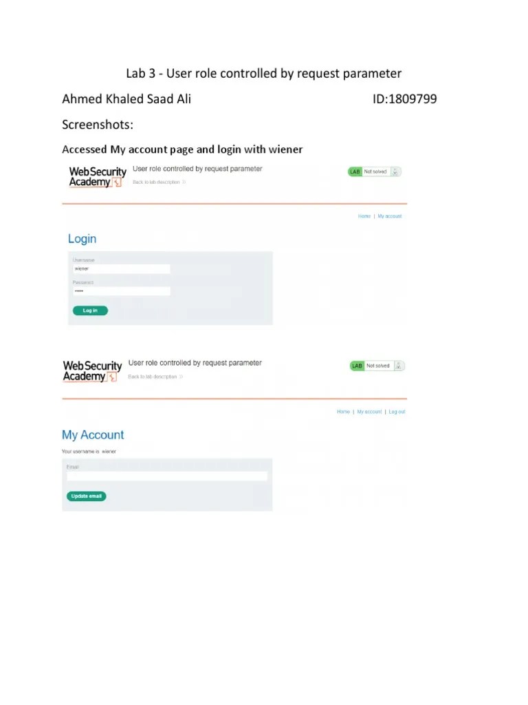 Lab 3 User Role Controlled by Request Parameter PDF