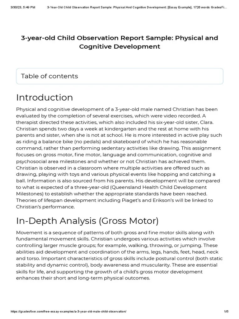 3YearOld Child Observation Report Sample Physical and Cognitive(02)
