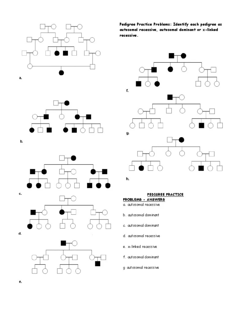Pedigree Analysis Test PDF