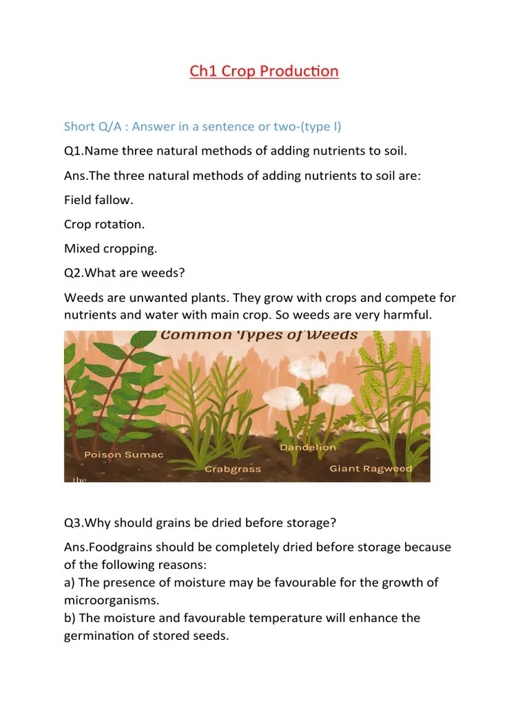 Ch1 Crop Production Short Q/A Answer in A Sentence or Two (Type I