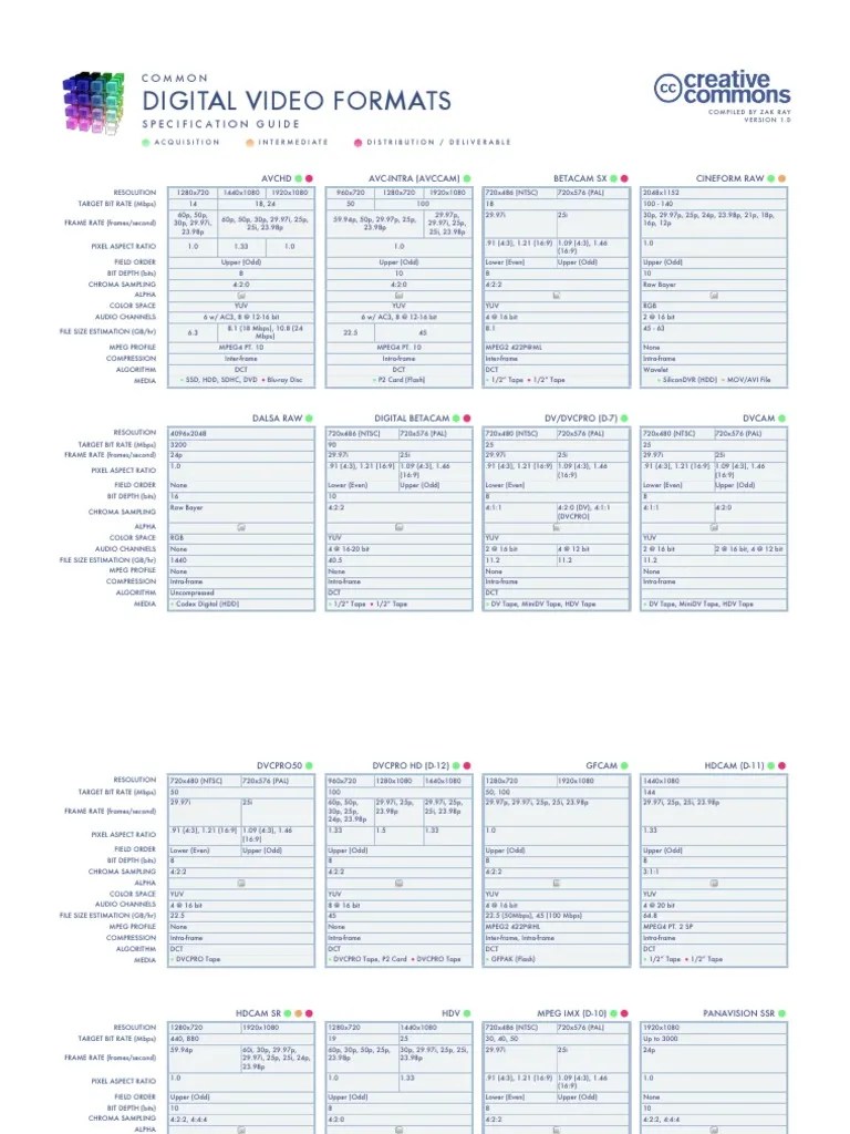 Digital Video Formats (8.5x11) PDF