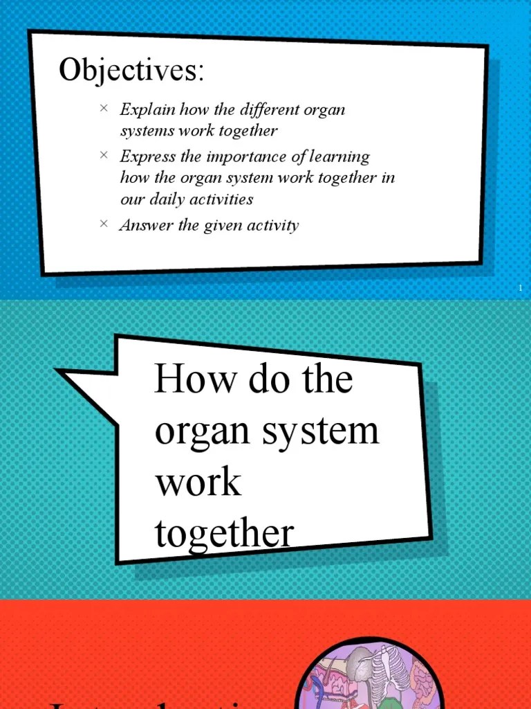 m3 How Do Organ System Work Together PDF Human Body Lung