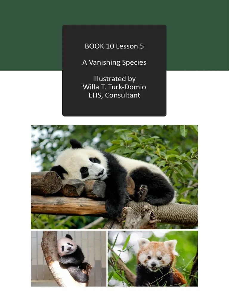 Book 10 Lesson 5 2023 PDF Giant Panda Poaching
