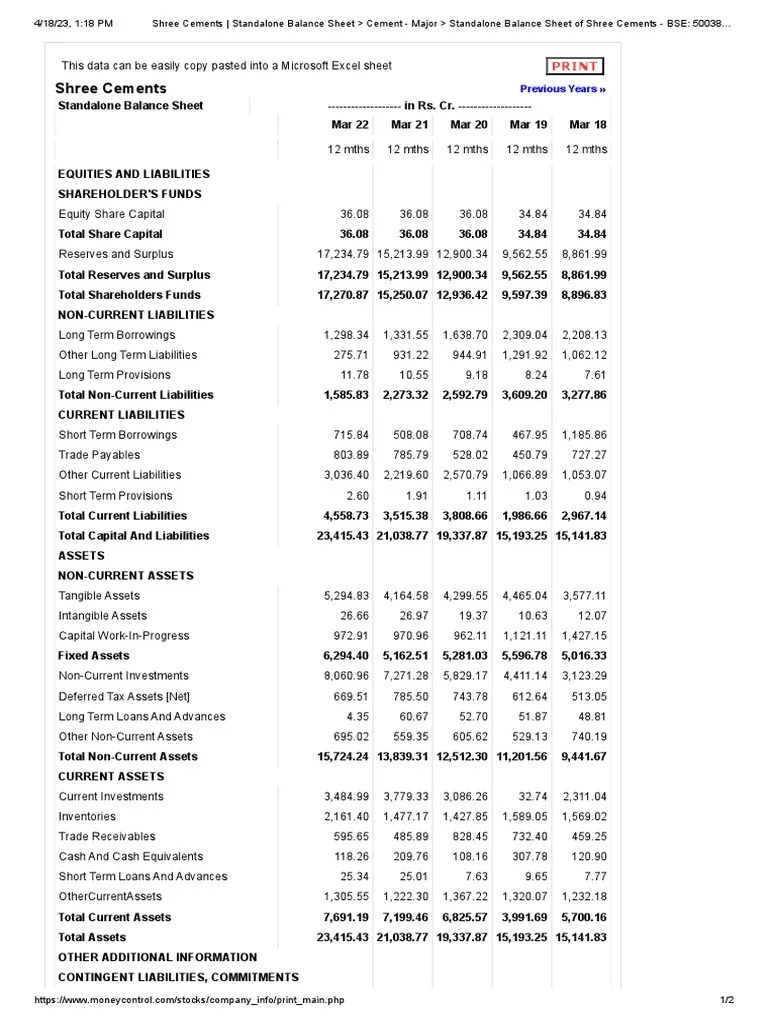SHREE Moneycontrol Com Company Info Print Financials PDF Balance Sheet Equity (Finance)