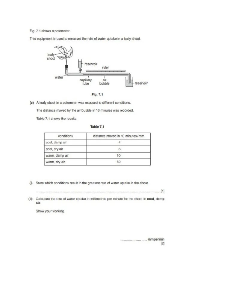 Y9 Worksheet On Plants and Environment PDF
