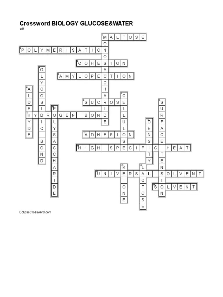 Biology Glucose&water (Answer) PDF