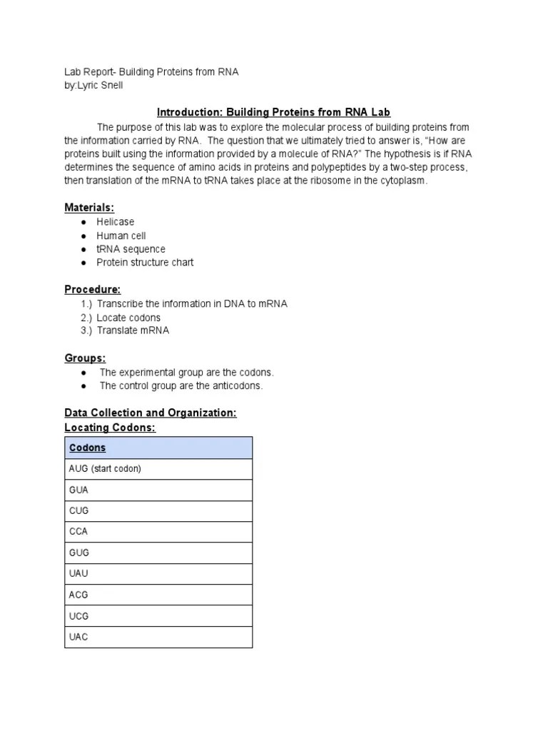 Lab Report Building Proteins From RNA 1 PDF PDF Translation