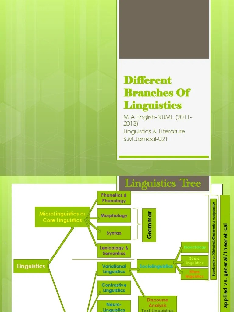 Linguistic Tree Linguistics Academic Discipline Interactions
