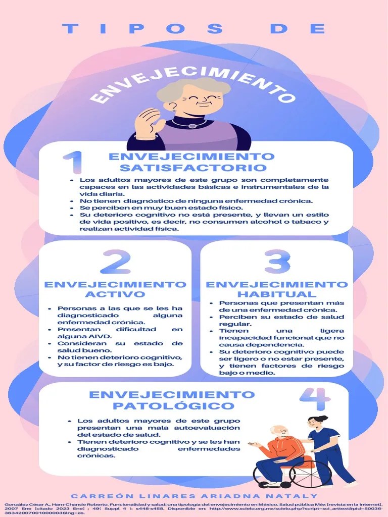 Infografía de Los Tipos de Envejecimiento PDF Descargar gratis PDF