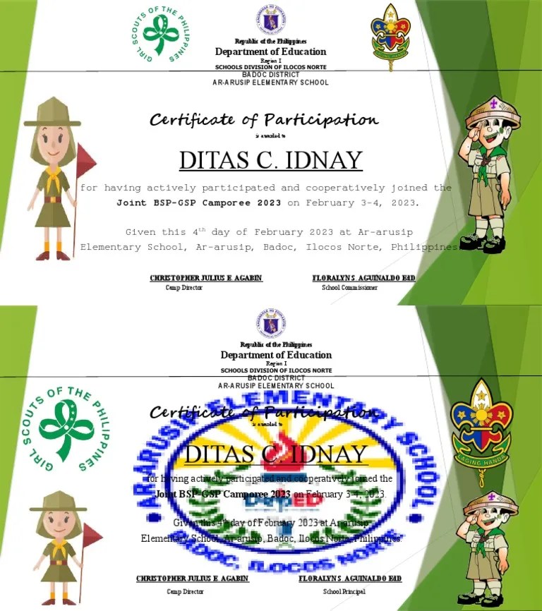 BSP GSP Certificate PDF