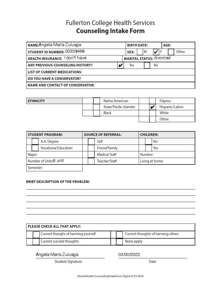 Counseling Intake Form Fillable PDF PDF Race And Ethnicity In The