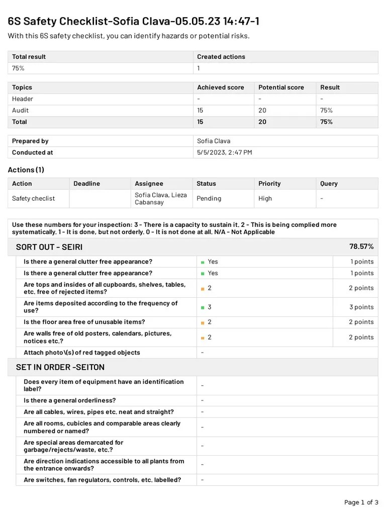 6S Safety Checklist for Workplace Audit PDF Safety