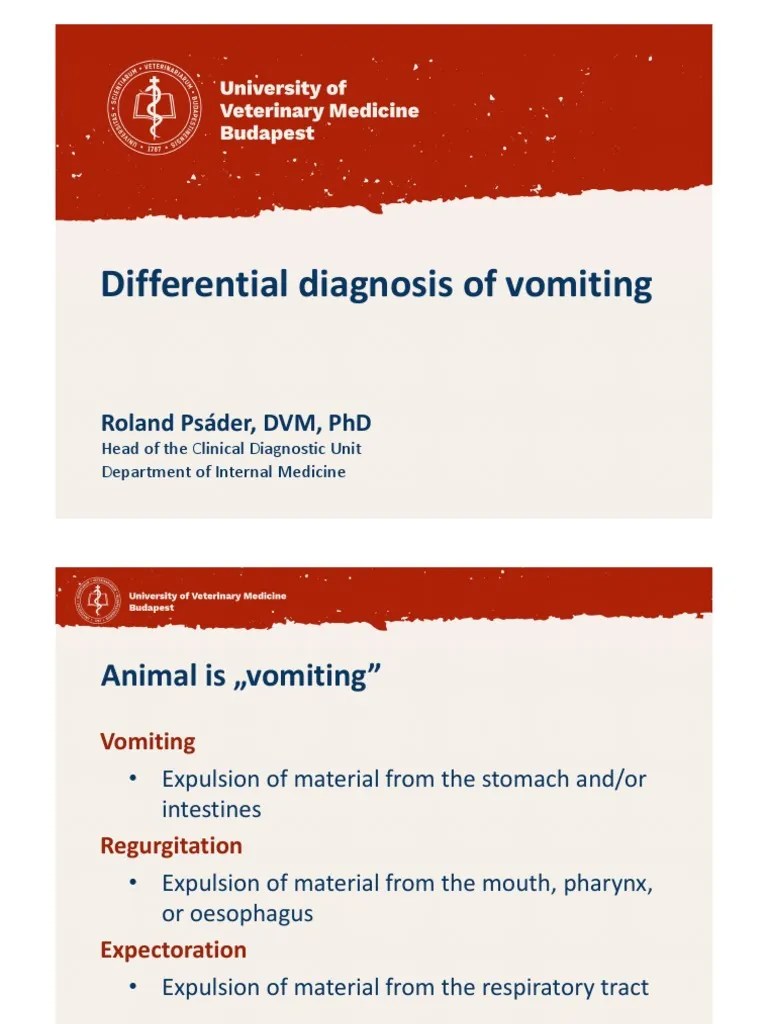 1Differential Diagnosis of Vomiting 2021 PsáderR SAM3 Download Free