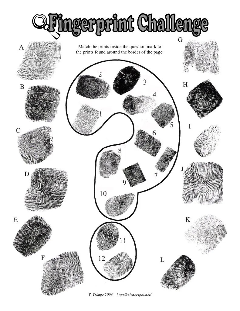 Unit 2 Fingerprint Challenge PDF