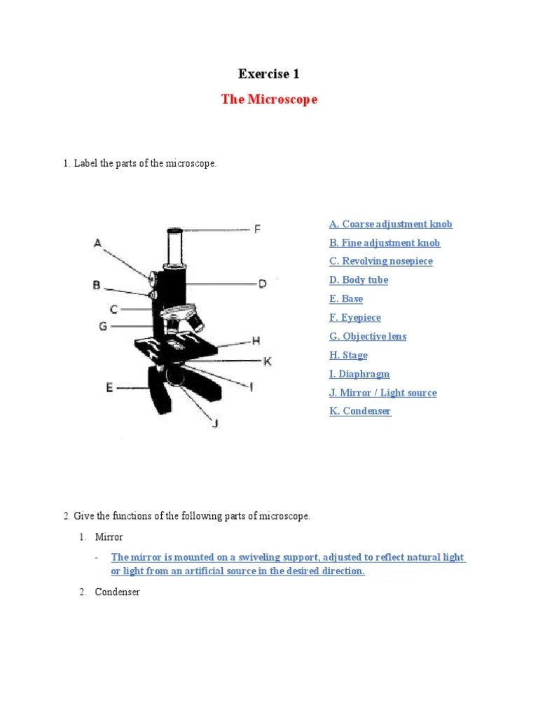 The Microscope Exercise 1 PDF Microscopy Microscope