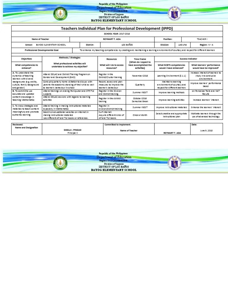 Teachers Individual Plan For Professional Development PDF Learning