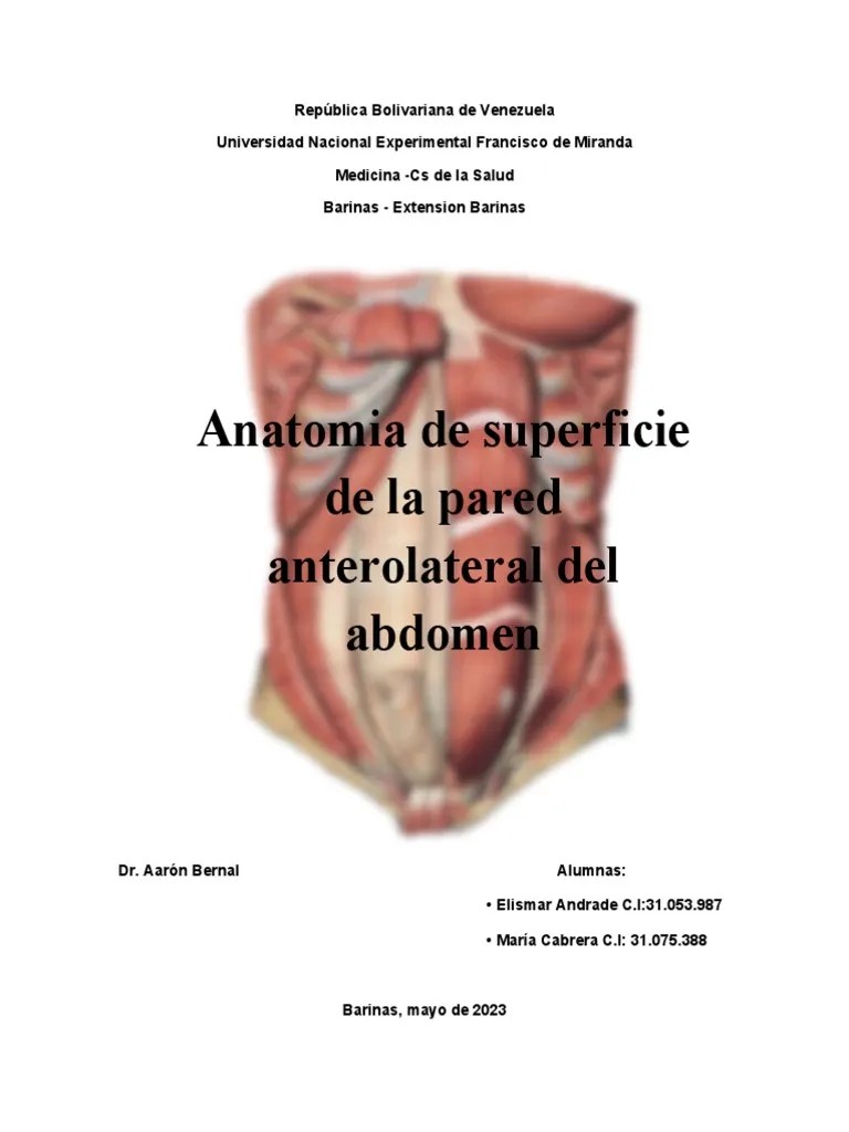 Anatomia Del Abdomen PDF Abdomen Pelvis