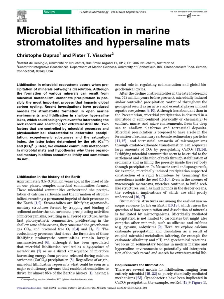 Microbial Lithification in Marine Stromatolites and Hypersaline Mats