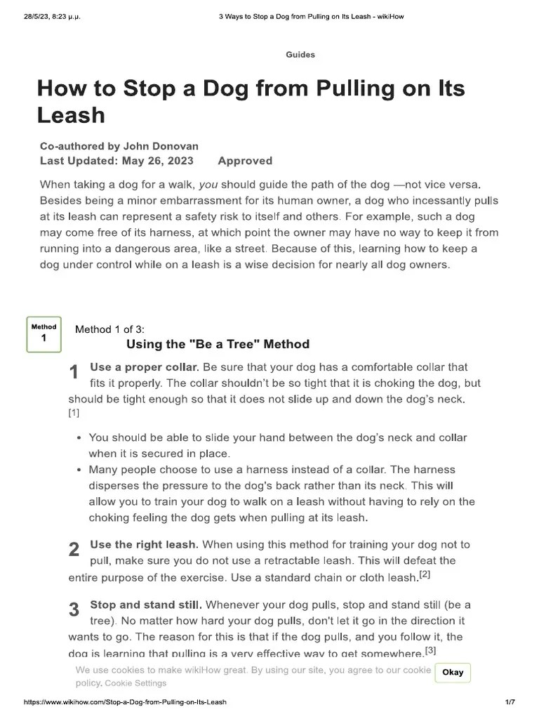 3 Ways To Stop A Dog From Pulling On Its Leash PDF