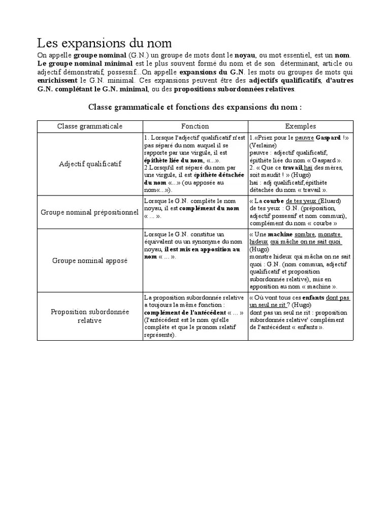 Les Expansions Des Noms PDF