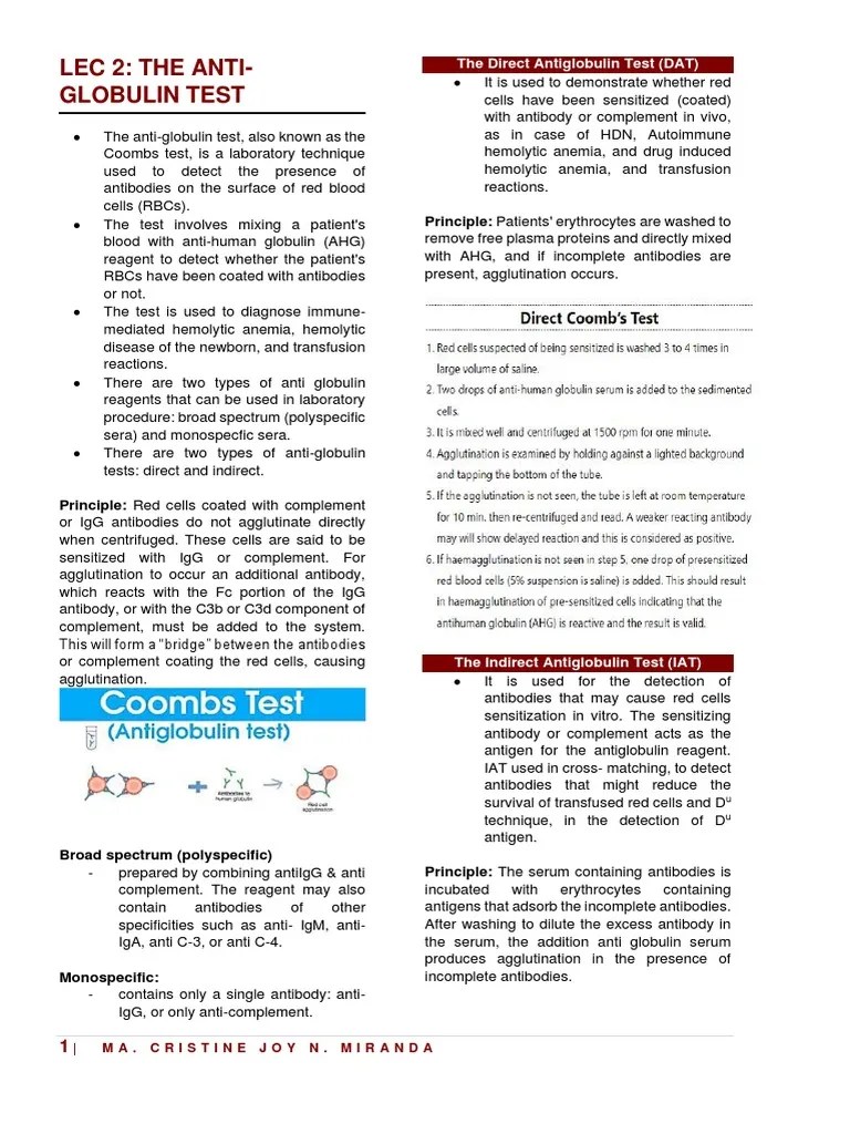 LEC 2 Anti Globulin Test PDF Antibody Immune System