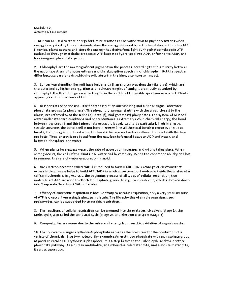 Botany Worksheet PDF