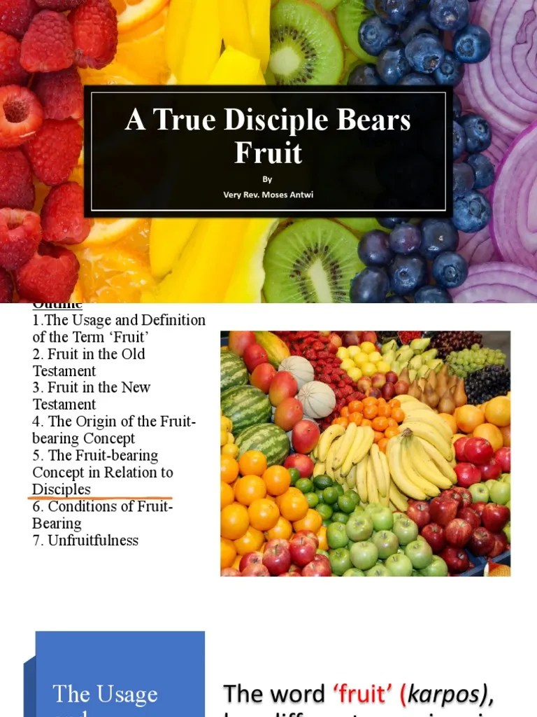 A Disciple Bears Fruit PDF