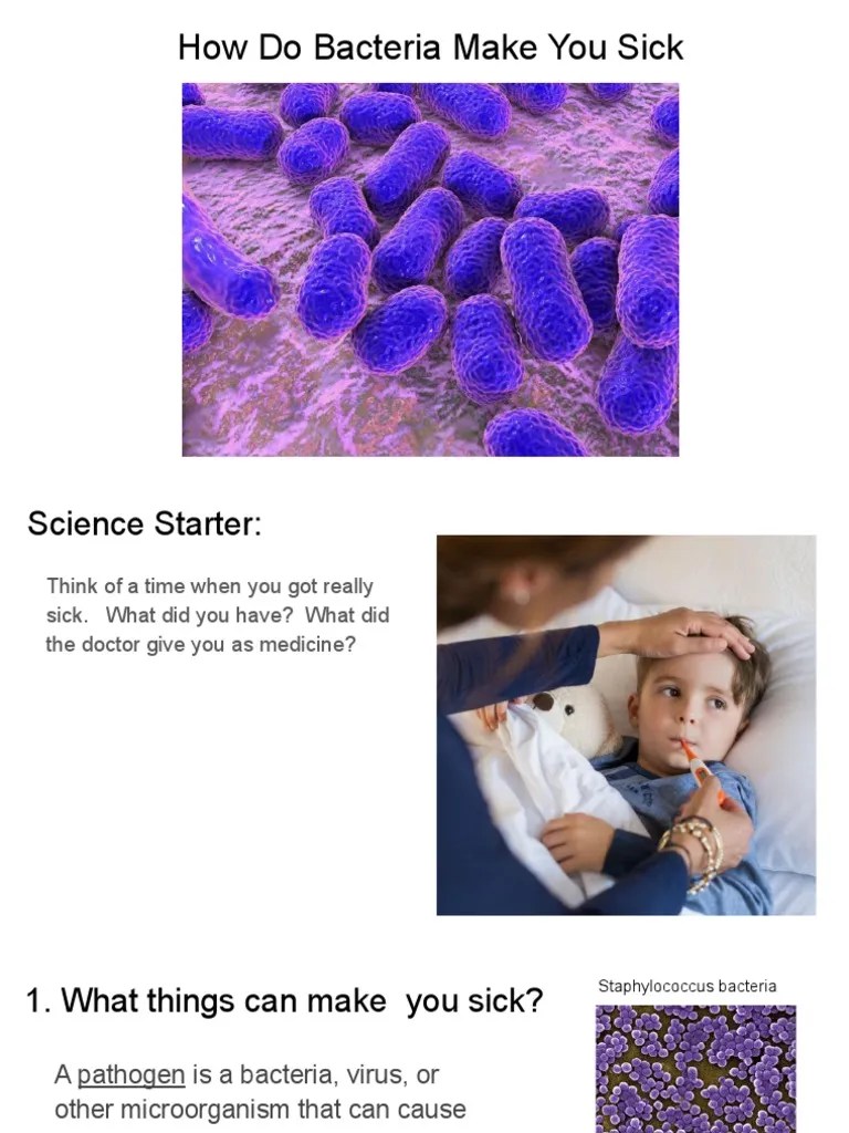 How Do Bacteria and Viruses Make You Sick PDF