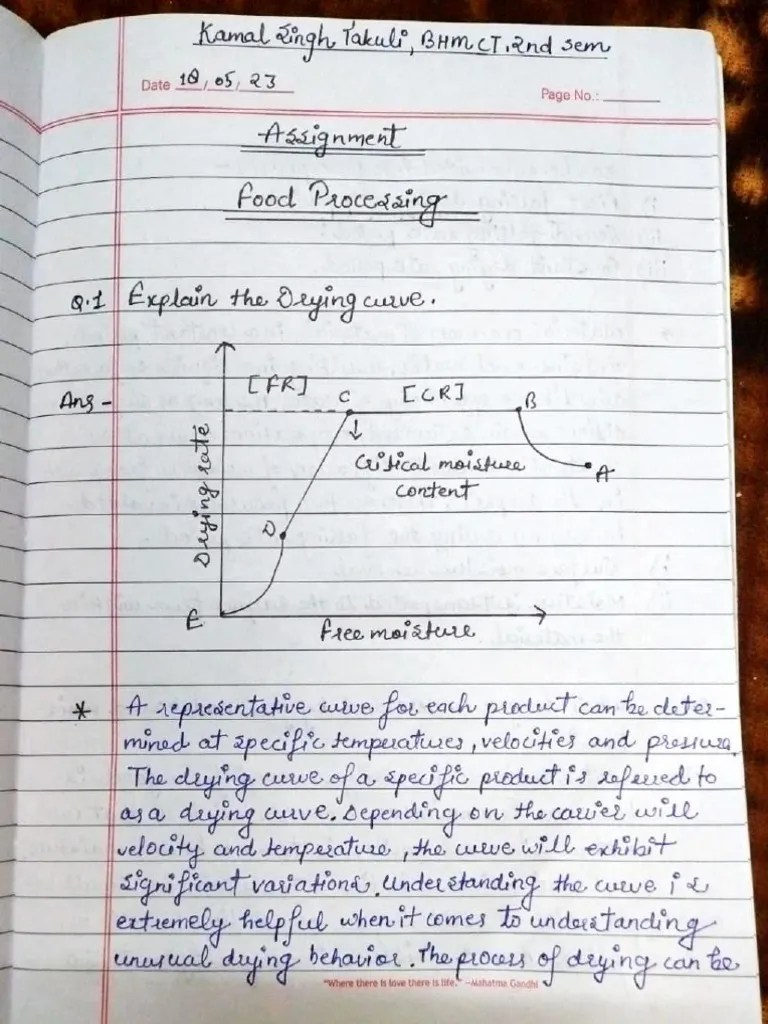 Assignment 2 Food Processing PDF