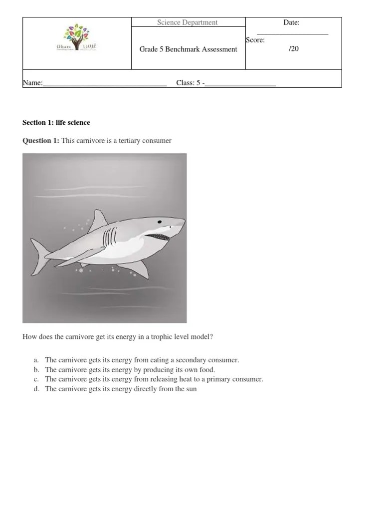 pdfgr5 Benchmark PDF Earth Ecosystem