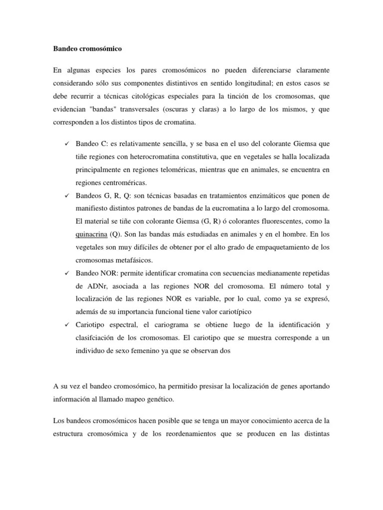 Bandeo cromosómico