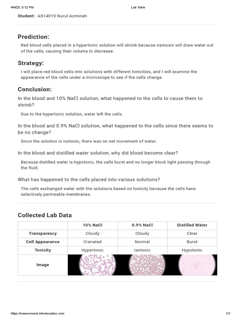 Lab 7.1 Osmosis in Animal Cells PDF