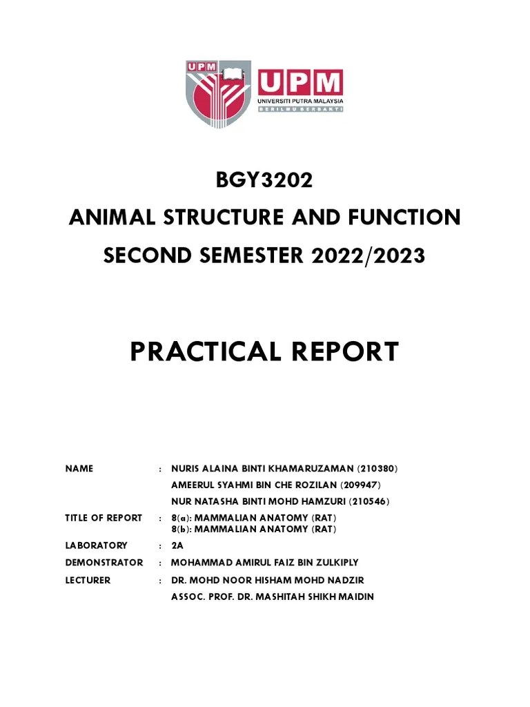 RAT DISSECTION LAB REPORT PDF