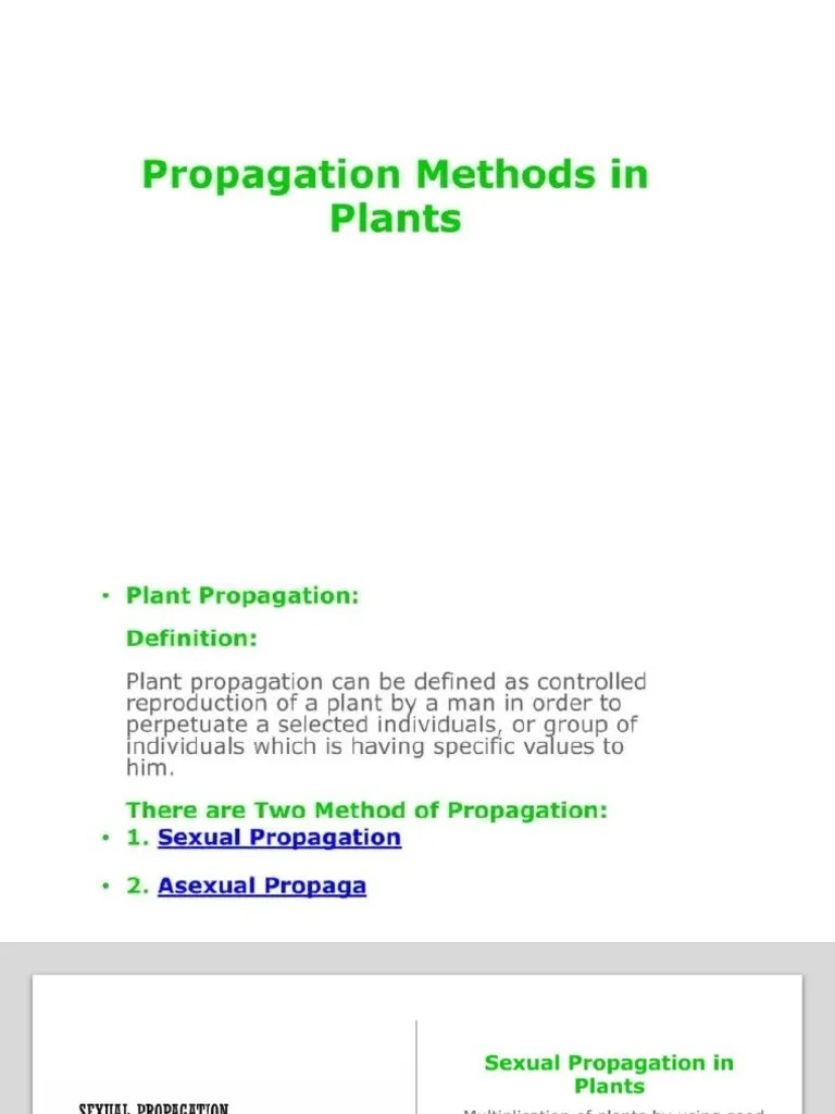 Types of Propagation PDF