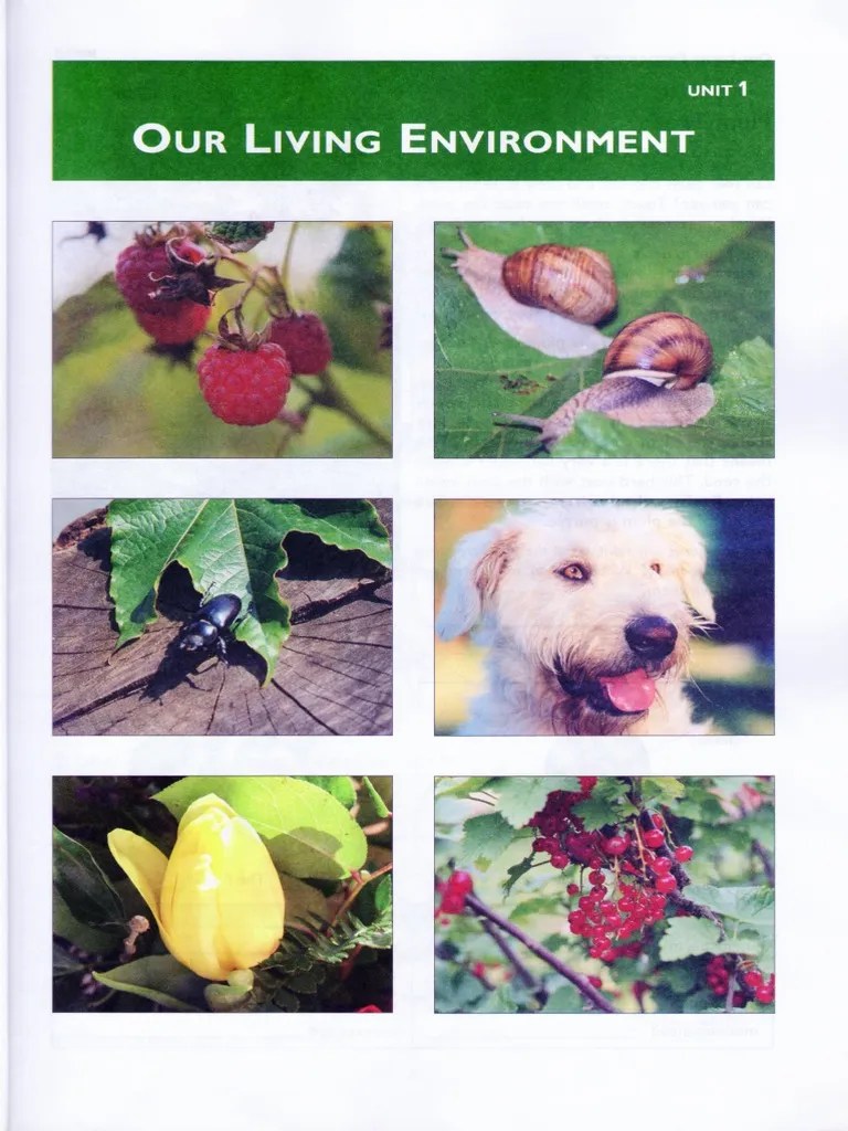 ScienceBook5 1 Our Living Environment | PDF